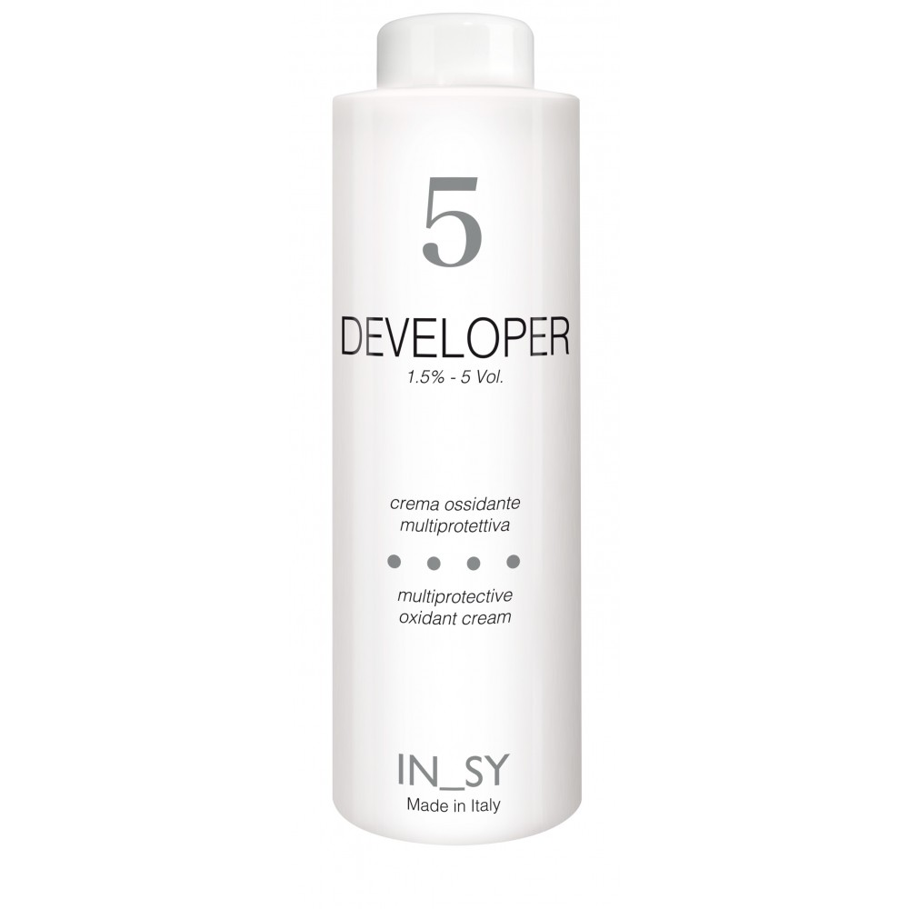 5 Vol. Developer - InSy