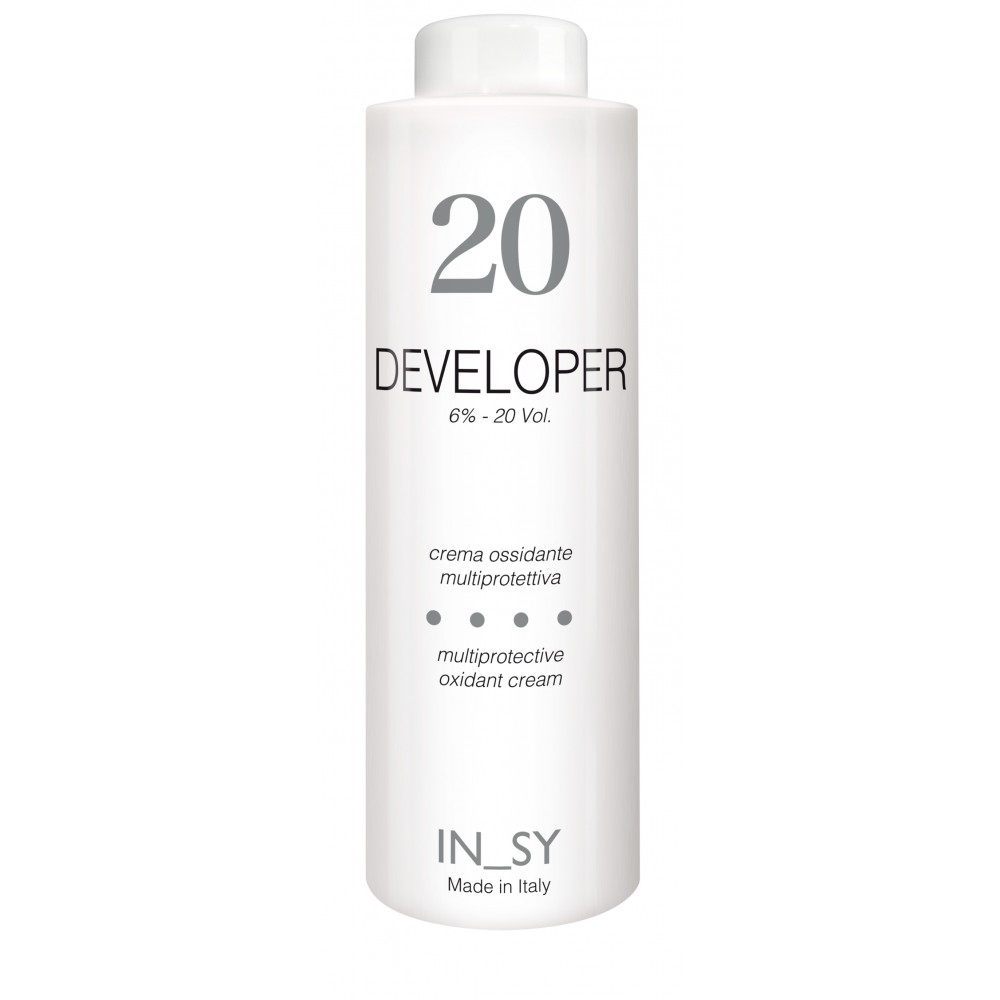20 Vol. Developer - InSy